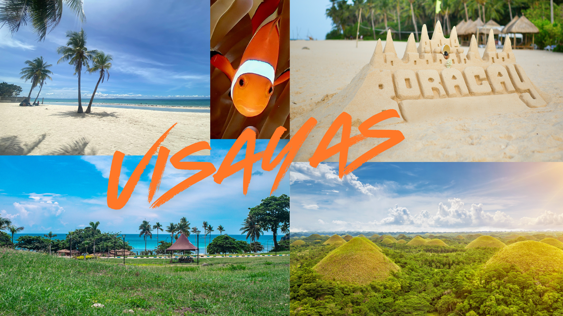 Visayas collage for Dive Philippines showing beach, islands, clownfish and Chocolate Hills